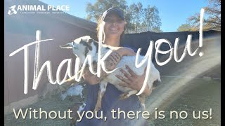 Thank You - 2022 Year in Review! by AnimalPlace 230 views 1 year ago 1 minute, 56 seconds