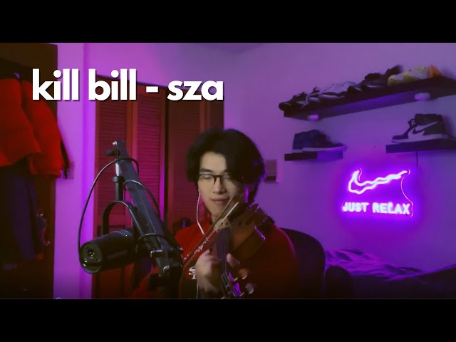 Kill Bill - SZA - Violin Cover class=