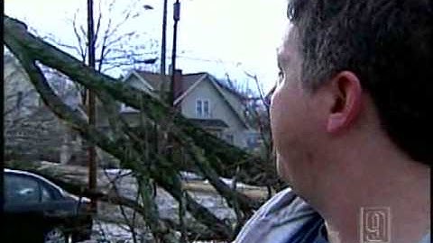 Wind Brings Branches Down On Power Lines