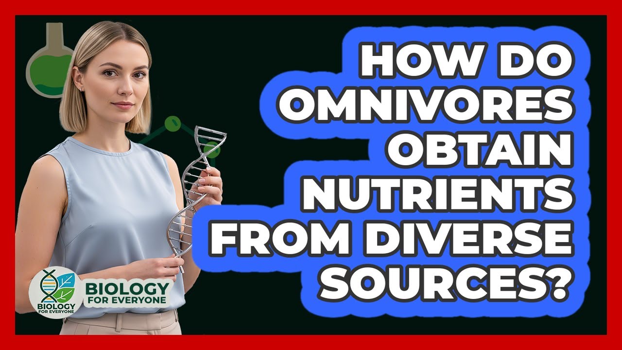How Do Omnivores Obtain Nutrients From Diverse Sources?