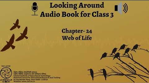 Chapter  24 Web of Life