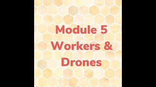 Module 5  workers & drones