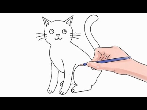 How to Draw a Cat Easy Step by Step - YouTube