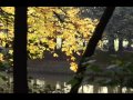 Found a tiny autumn_Flute_ちいさい秋みつけた_フルート演奏