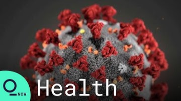 WHO Begins Naming Covid Variants With Greek Alphabet Letters