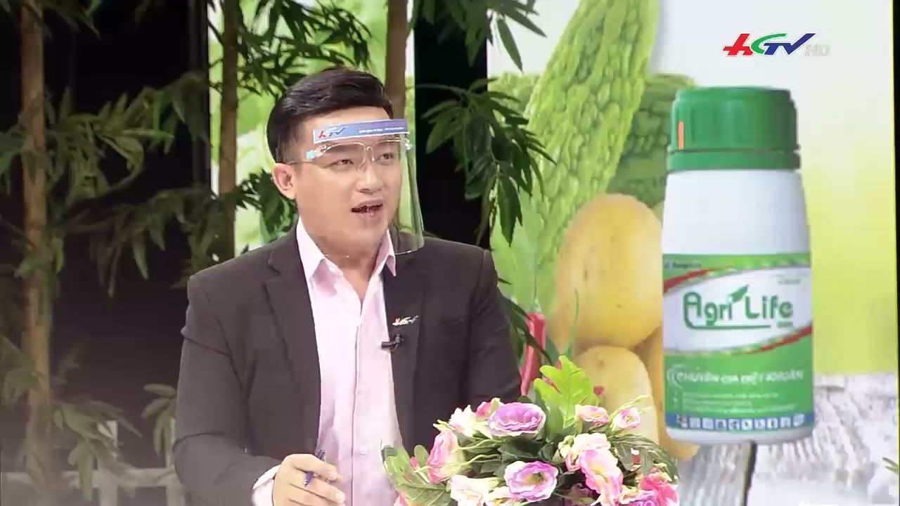 Tác nhân và biểu hiện của bệnh thối nhũn bắp cải, héo xanh ớt, héo xanh bầu bí, sương mai cà chua.