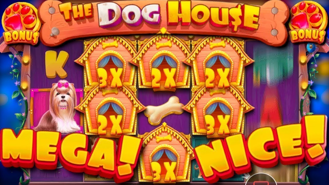 Дог хаус мегавейс dogs house net. Дог Хаус слот. Казино слот the Dog House. The Dog House игровой автомат. The Dog House Slot занос.