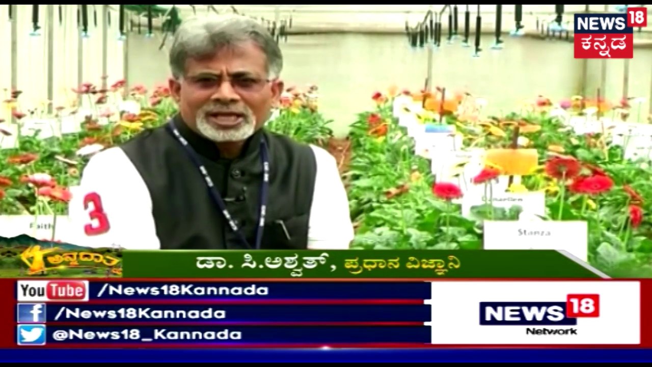 ಅನ್ನದಾತ | Gerbera Flower Cultivation | Mar 27, 2019