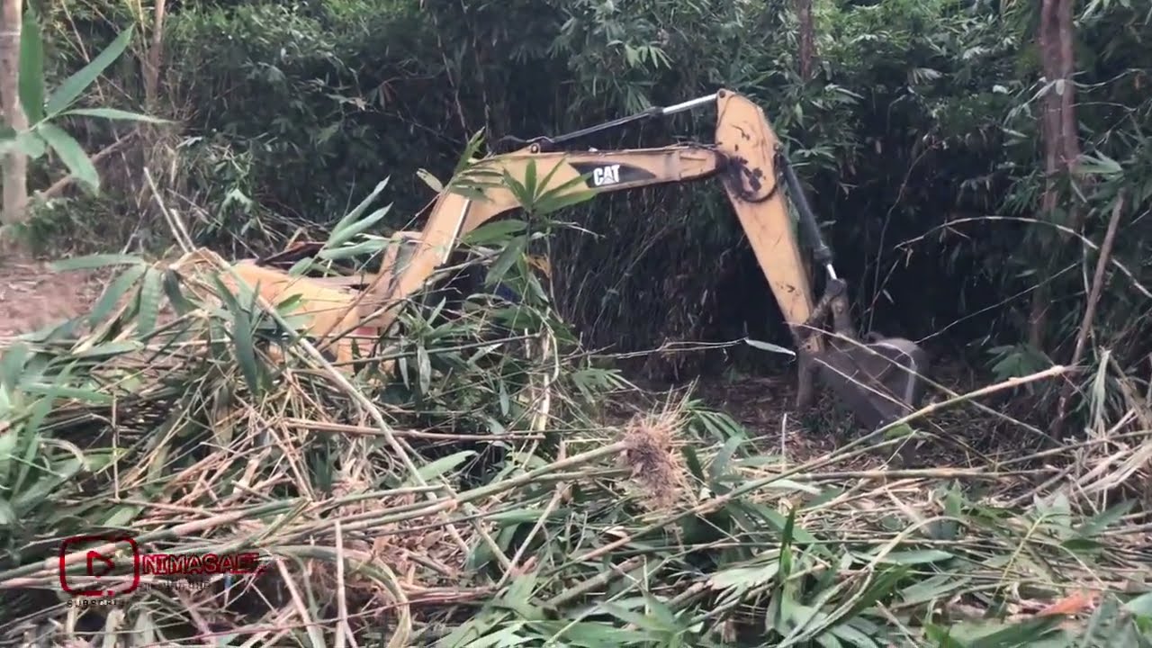 Приходите посмотреть, как экскаватор Caterpillar 315C расчищает бамбуковый лес и большие деревья ...