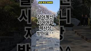 당돌한 며느리의 유쾌한 도전 #사연 #감동사연 #웃긴사연