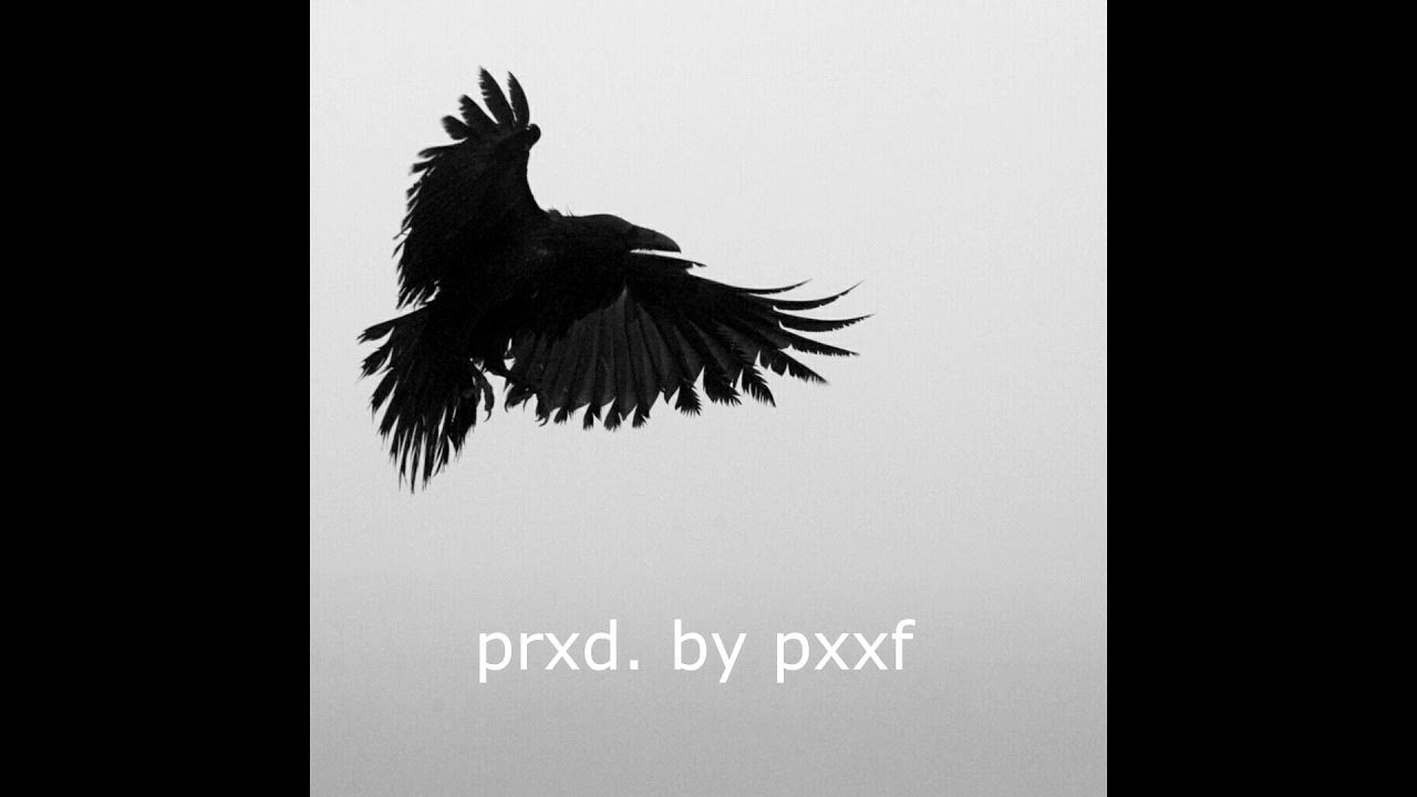 черный ворон кружит. черный ворон кружит. стая воронов. стая ворон. вороны в небе.