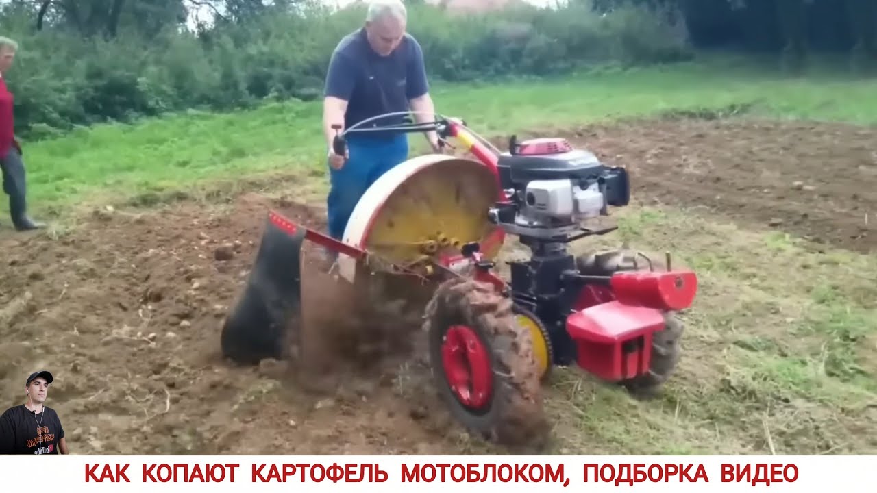 КАК КОПАЮТ КАРТОФЕЛЬ МОТОБЛОКОМ В РАЗНЫХ СТРАНАХ /HARVESTING POTATOES IN DIFFERENT COUNTRIES