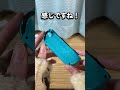 【スイッチ】また壊れたジョイコンを買った結果...【Switch】 #game #shorts #ゲーム #switch