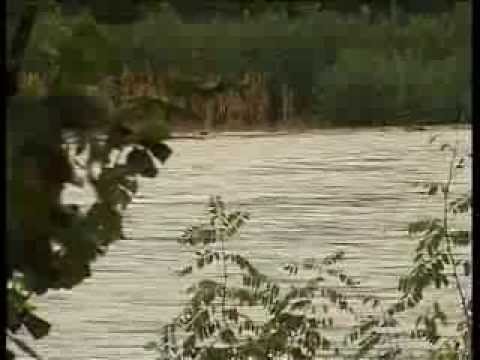 სოფელი ორსანტია დატბორილია.