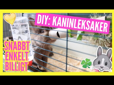 Video: Hur Man Gör En Kaninmatare
