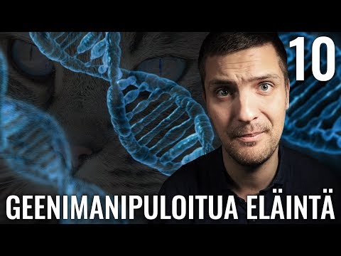 Video: Mikä on geenimanipuloitu lääke?