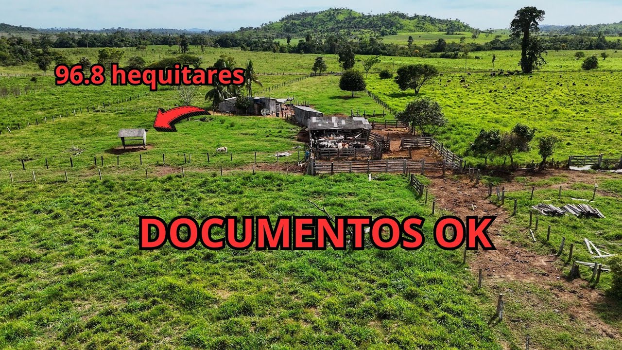 Compre 20 e leve 30 alqueires.  20 alqueires documentada em São Félix do xingu Pará, 35 km da cidade