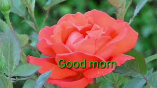 Good morning video song hindi