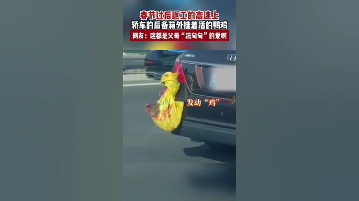 春节过后返工的高速上，轿车的后备箱外挂着活的鸭鸡。网友 这都是父母“沉甸甸”的爱啊 - 天天要闻