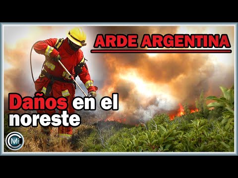 Los incendios de Corrientes (Argentina) causan daños "incalculables"