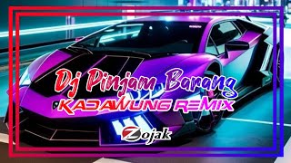 DJ • PINJAM BARANG || New Eletro Funk 2024