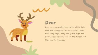 Light Brown Creative Cute Animals Information Video