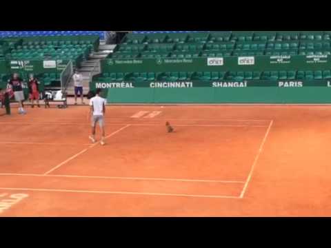 Novak practicing with Dolgopolov (Monte Carlo 2014)