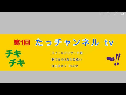 【ポケモンGo】2018年最後！フィールドリサーチ報酬で色違いのGetだぜ！Part2