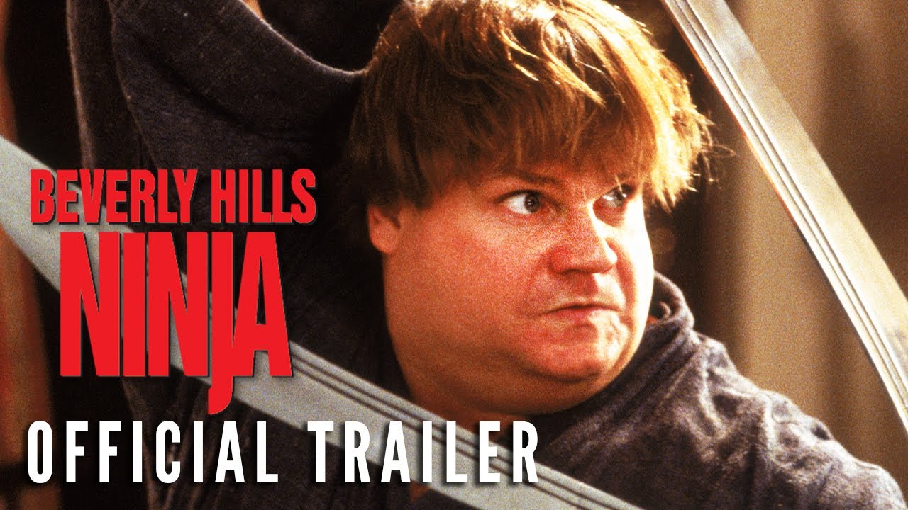 Beverly Hills Ninja