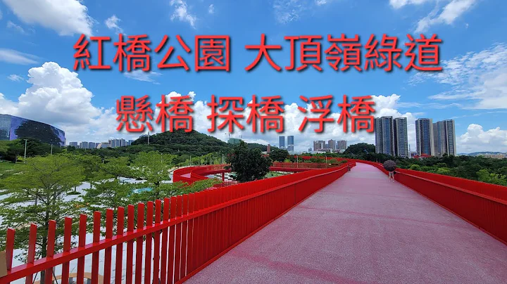 深圳 红桥公园 大顶岭绿道  悬桥 探桥 浮桥 - 天天要闻