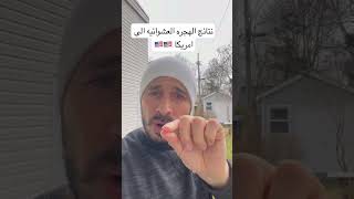 نتائج الهجره العشوائيه الى امريكا ????