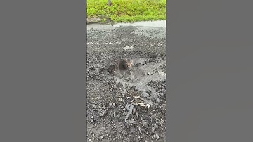 Thumbnail of Lightning strikes street, melts pavement in Massachusetts town