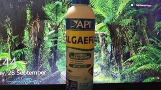 Api Algaefix Review