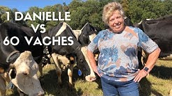 DANIELLE VS 60 VACHES