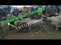 Бүгүнкү күнгө карата койлордун басы,,🐑🐏🐐👍🇰🇬15/11/20/