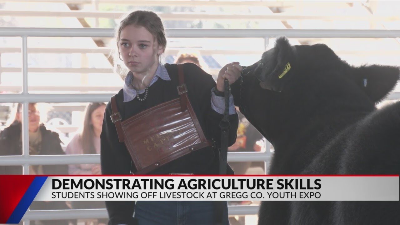 Students show livestock at Gregg County Youth Expo YouTube