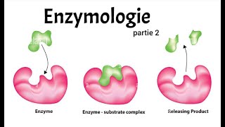 ENZYMOLOGIE PART 2 : CINETIQUE + REGULATEURS + ALLOSTERIE