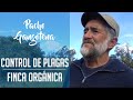 Control de Plagas en la Finca Orgánica. Sabiduría, Diversidad, Nutrición, Asociación de cultivos.