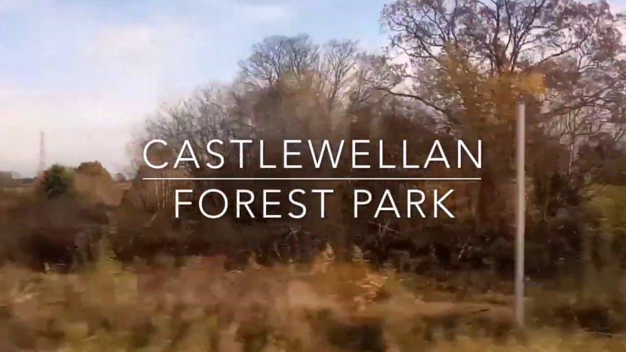 Castlewellan Forest Park QUB YouTube castlewellan-forest-park-qub-youtube