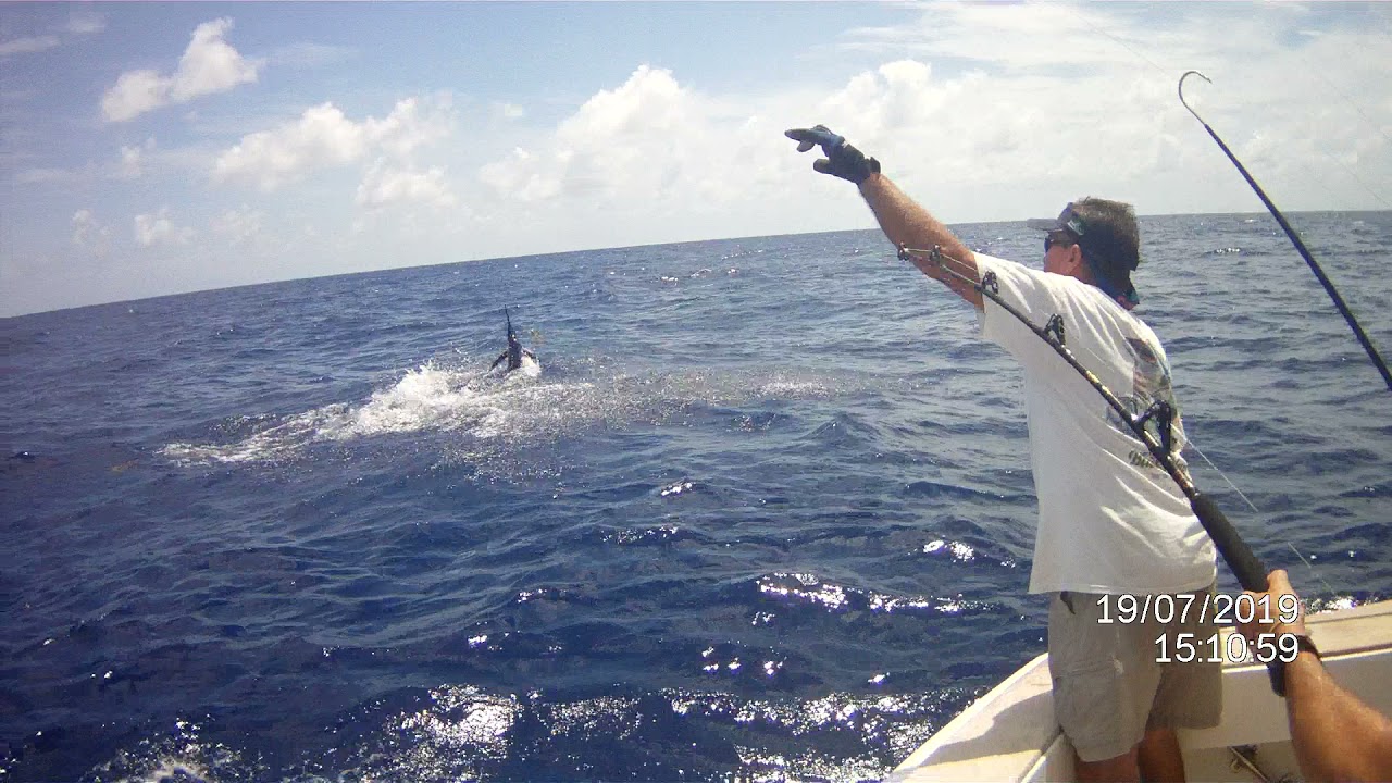 Blue Marlin caught by the Blue Heron team - Key West Marlin Tournament 2019