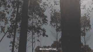 perlahan akustik by AFA cover