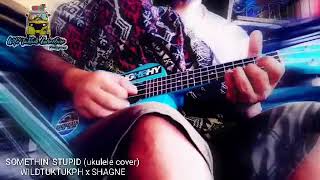 Something Stupid (cover)