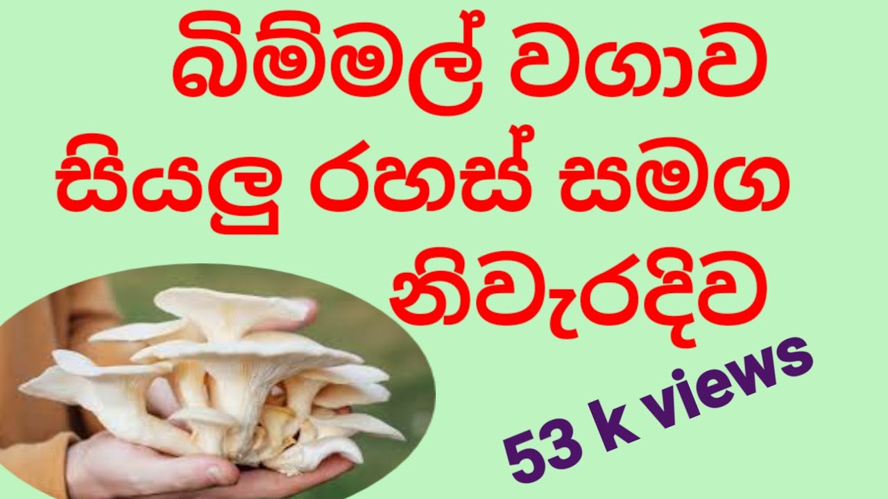 බිම්මල් නිවැරදිව වගා කරන රහස් ක්‍රමය..