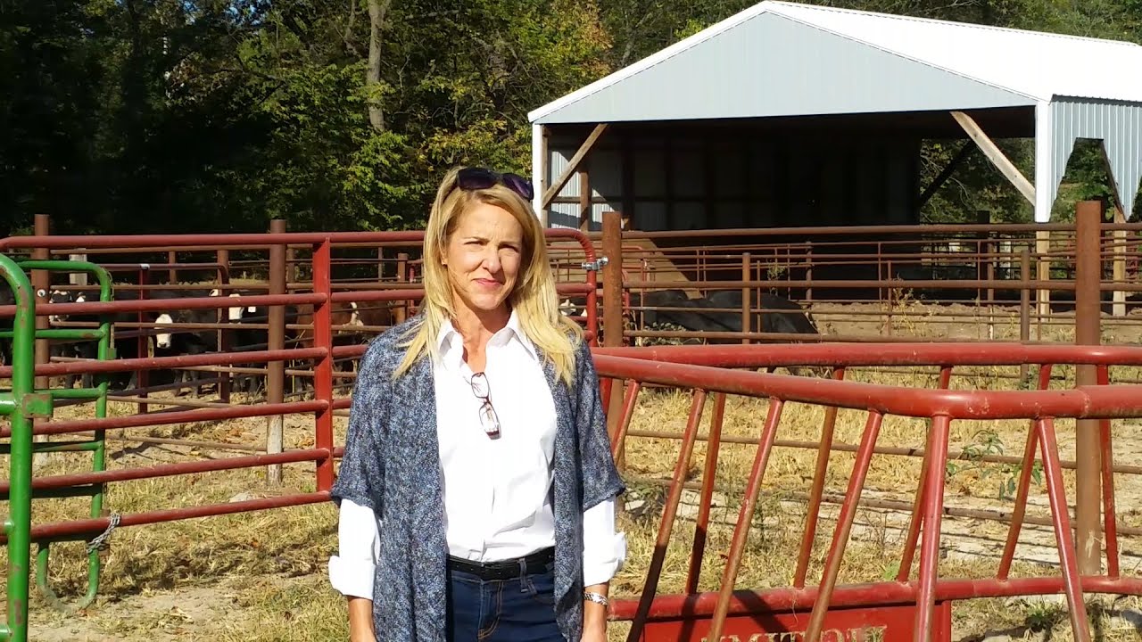 On the Fly October 5, 2015 Missouri Farm Bureau YouTube