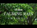 Let the Rain Calm Your Mind - 10 Hours of Deep Relaxing Rain Sounds for Sleep