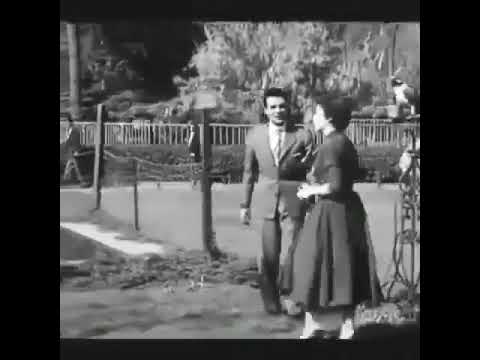 عبد الحليم حافظ صدفة  