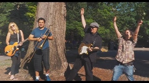 CAT DAIL FLOW ZONE MUSIC VIDEO