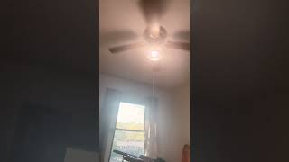 Showing you all the Wyze light bulb on the ceiling fan
