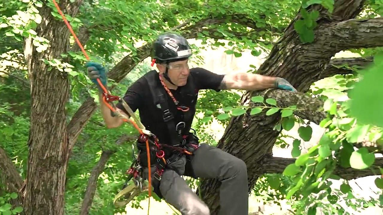 Rigging Lab Academy Rope Access Arbor Technique - YouTube