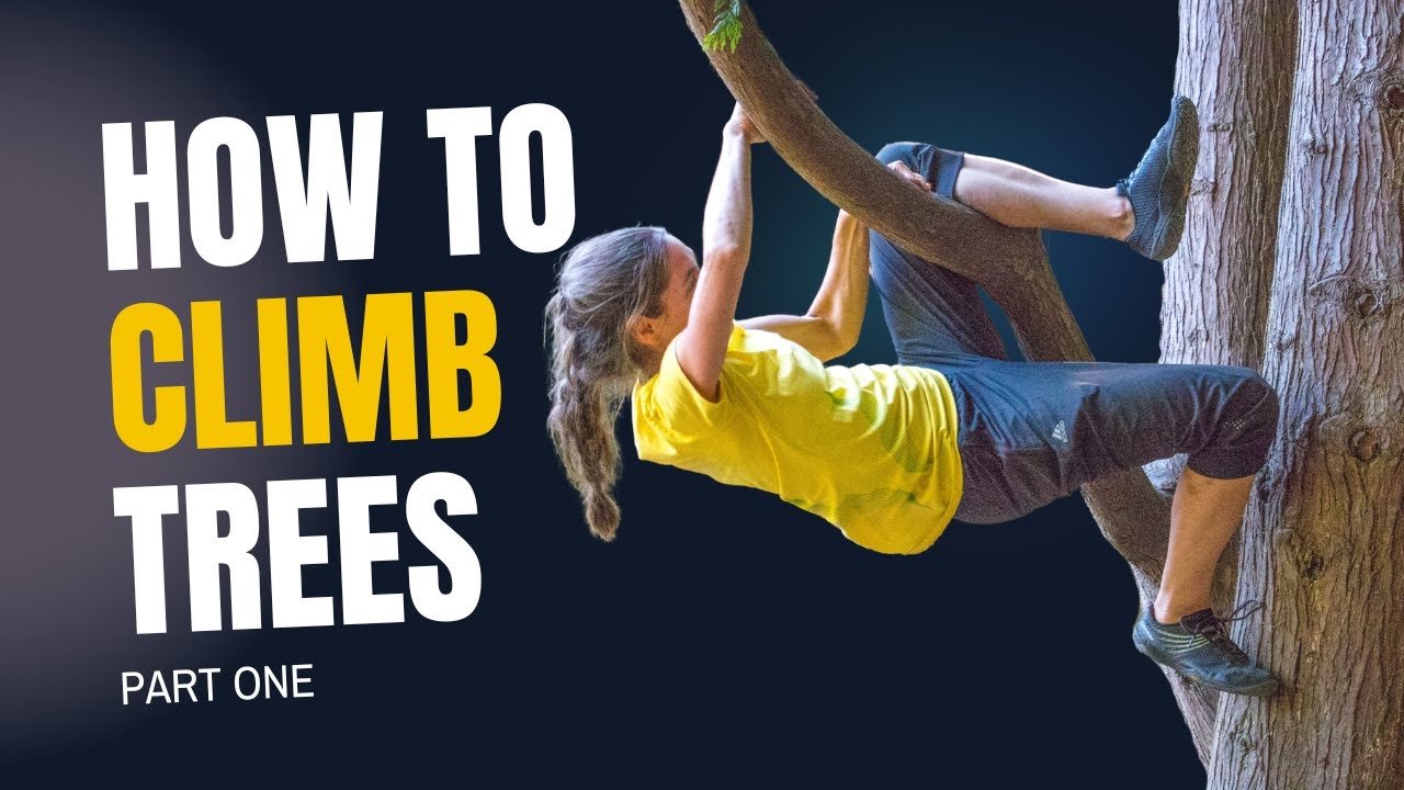 How to Tree Climb Like Trees Like Tarzan